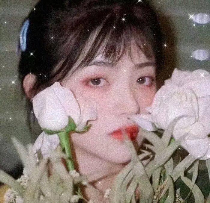南海春光